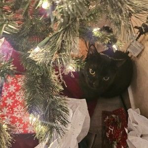 Meet your Posher, Lily